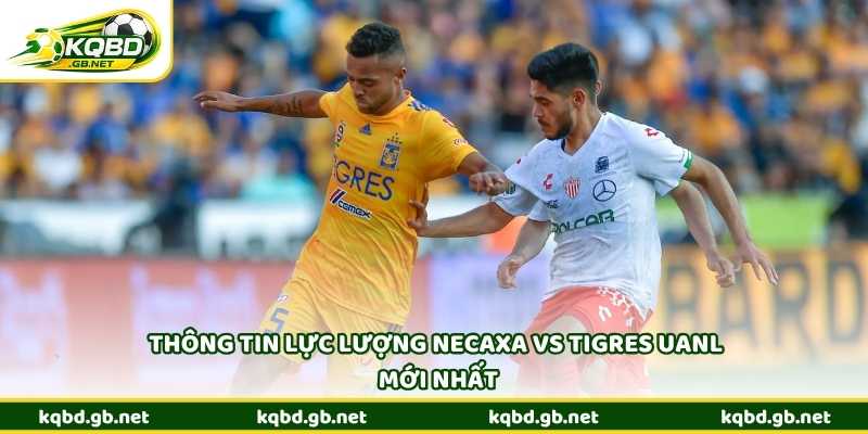 Thông tin lực lượng Necaxa vs Tigres UANL mới nhất